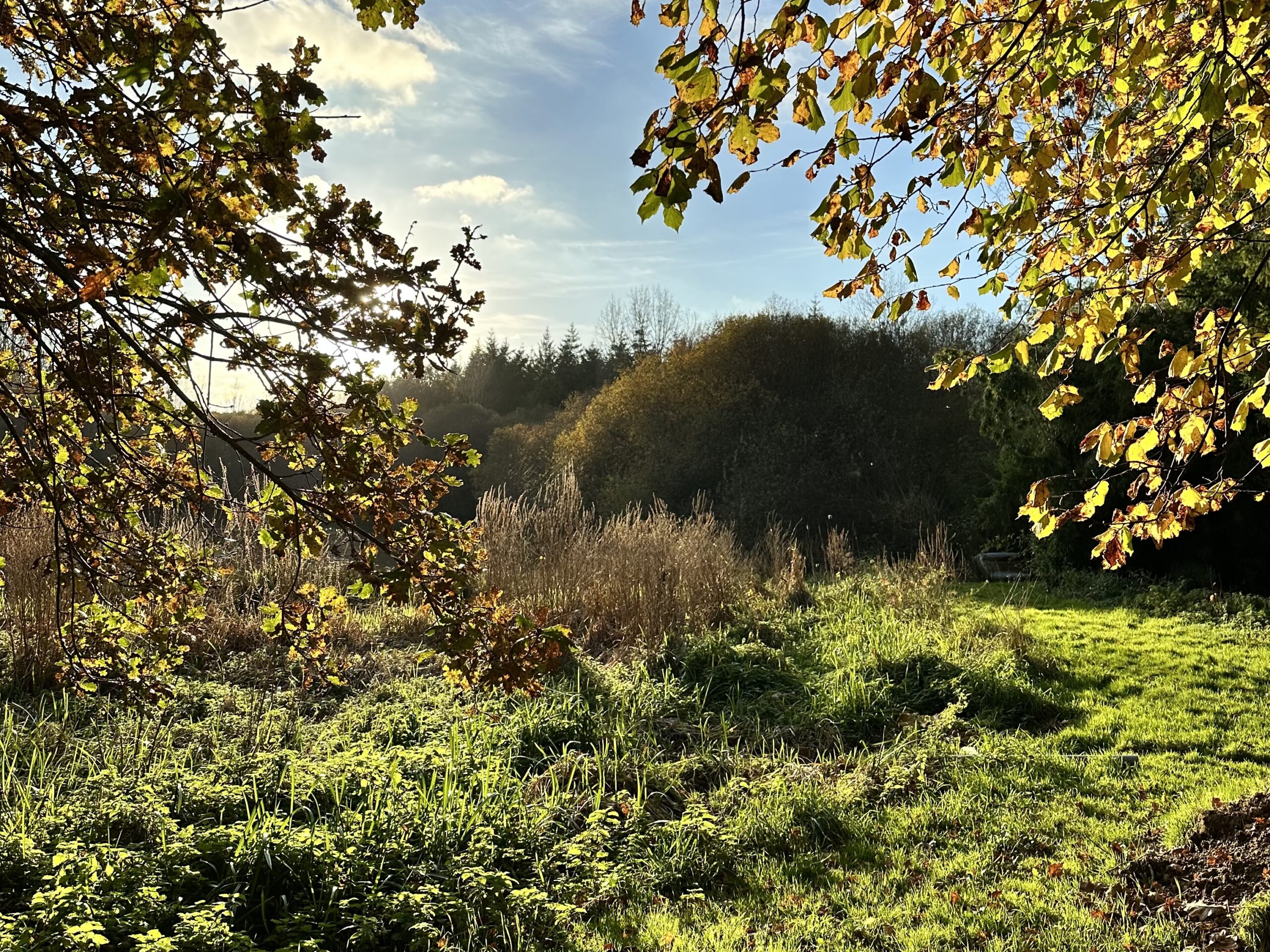 Étang des Reflets Roz au lever du soleil – domaine nature en Côtes-d'Armor, Bretagne
