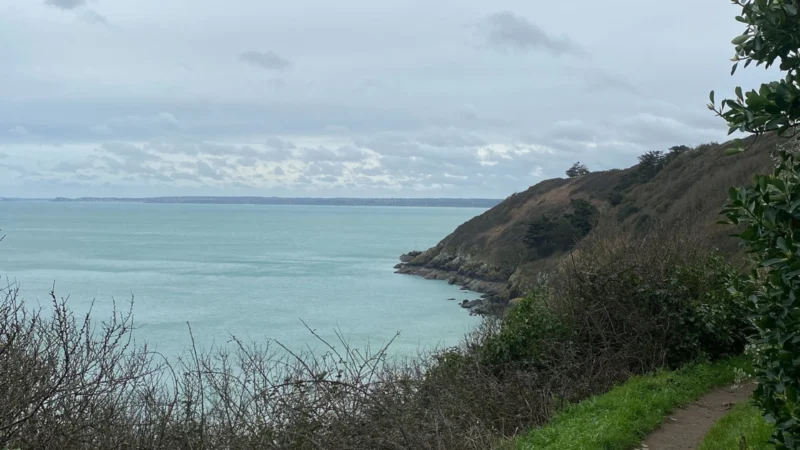 GR34 de-martin-au-roselier