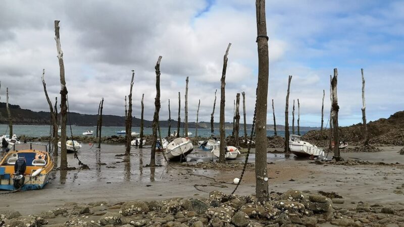 Port de Gwin Zégal près des falaises de Plouha