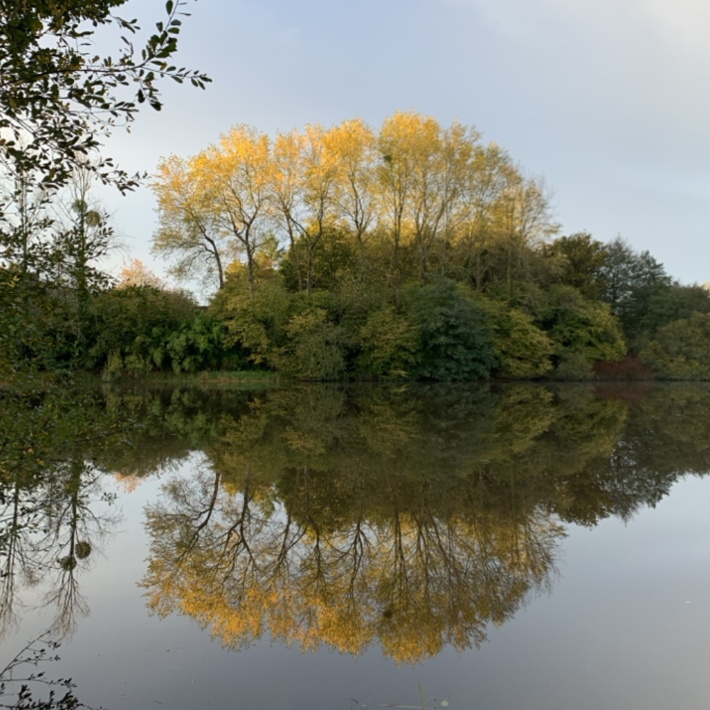 L'étang des Reflets Roz en automne - détente et bien-être