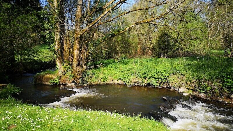 La roche aux cerfs-3