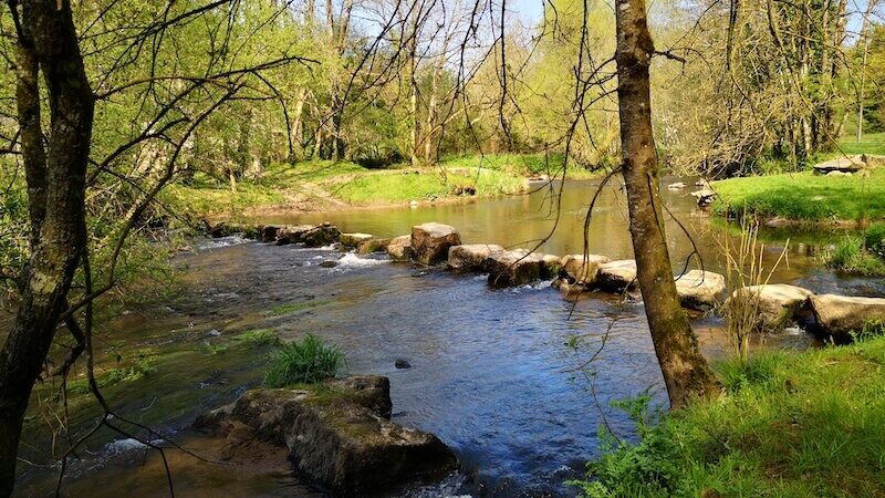La roche aux cerfs-4