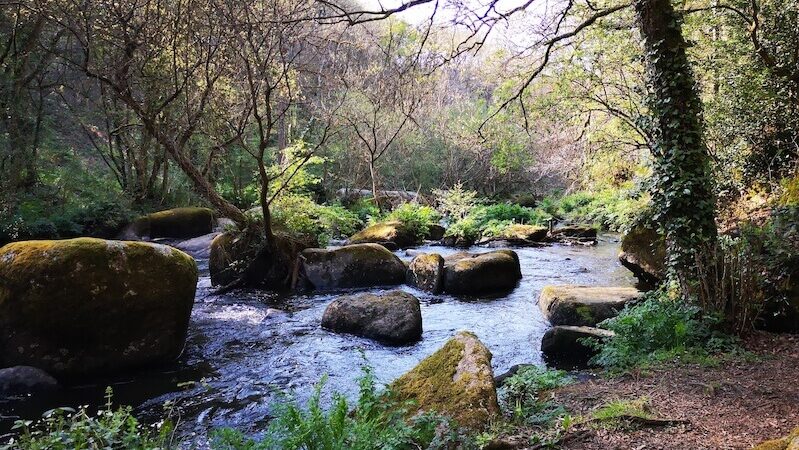 Les chaos du Gouet-1