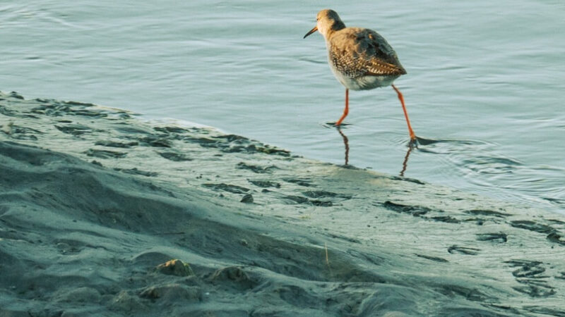 202312-rn-3-1280x856 (1)