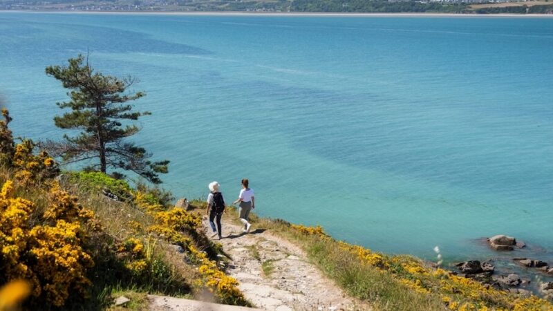 5e46a970b07ac7f051b99e90394db06d-Panoramas-reserve-naturelle-Hillion-Emmanuel-BERTHIER-1520x780 (1)