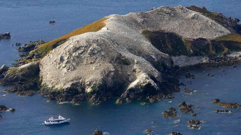 photo-635625325660958262-2