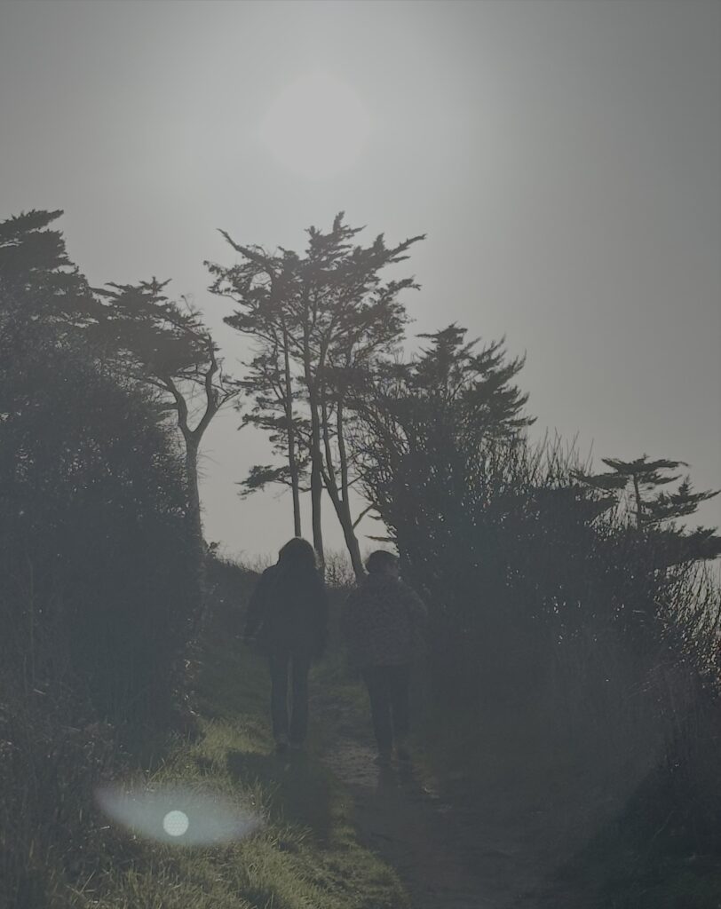 Balade en amoureux sur un chemin breton – Les Reflets Roz à 20 minutes de la baie de Saint-Brieuc, Côtes-d'Armor