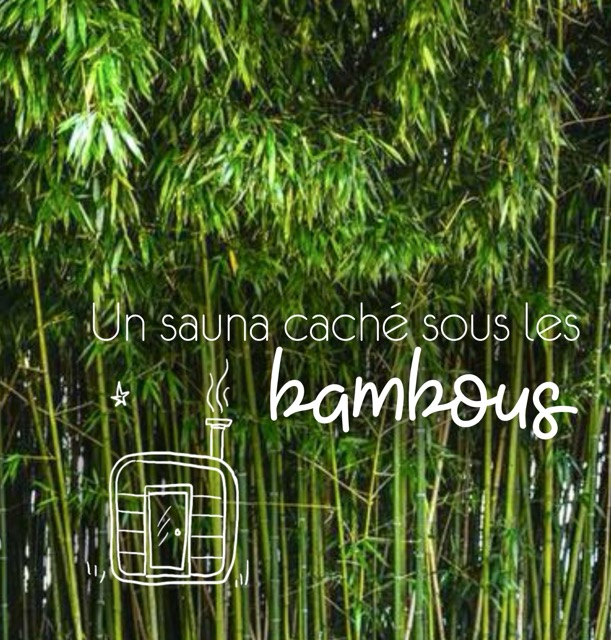 Sauna caché dans les bambous – espace bien-être nature aux Reflets Roz, Bretagne