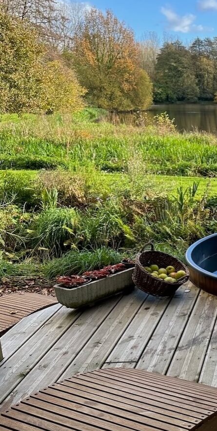 Panier repas végétarien maison – en-cas gourmand face à l'étang, Les Reflets Roz, Bretagne