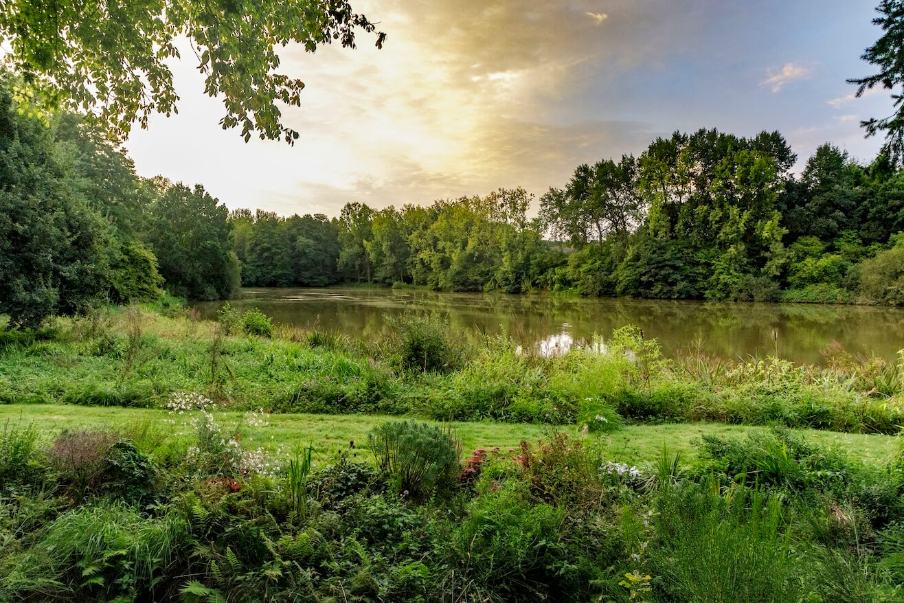 L'étang des Reflets Roz au coeur de la nature pour le télétravail - Côtes d'Armor, Bretagne